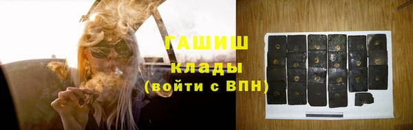 гидра Майский
