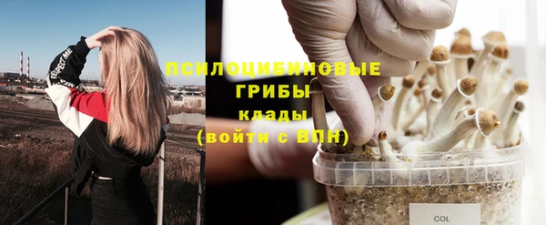спайс Магадан