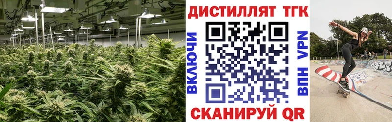 Дистиллят ТГК THC oil Саранск