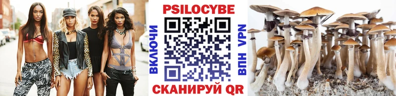 Галлюциногенные грибы Cubensis  Саранск 